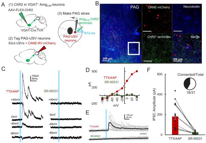 https://cdn.ncbi.nlm.nih.gov/pmc/blobs/2da9/7793624/e3e9708b6f3a/elife-63493-fig5.jpg
