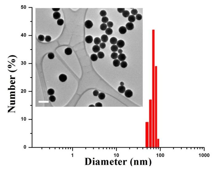 https://cdn.ncbi.nlm.nih.gov/pmc/blobs/2daa/5575698/a3b34074a066/nanomaterials-07-00216-g002.jpg