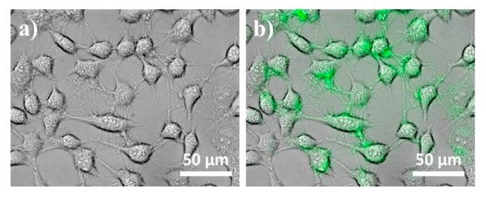 https://cdn.ncbi.nlm.nih.gov/pmc/blobs/2daa/5575698/c36f133e94b8/nanomaterials-07-00216-g006.jpg