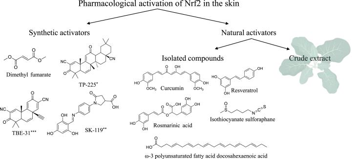 https://cdn.ncbi.nlm.nih.gov/pmc/blobs/2daa/9350913/ee512ff40af0/gr3.jpg