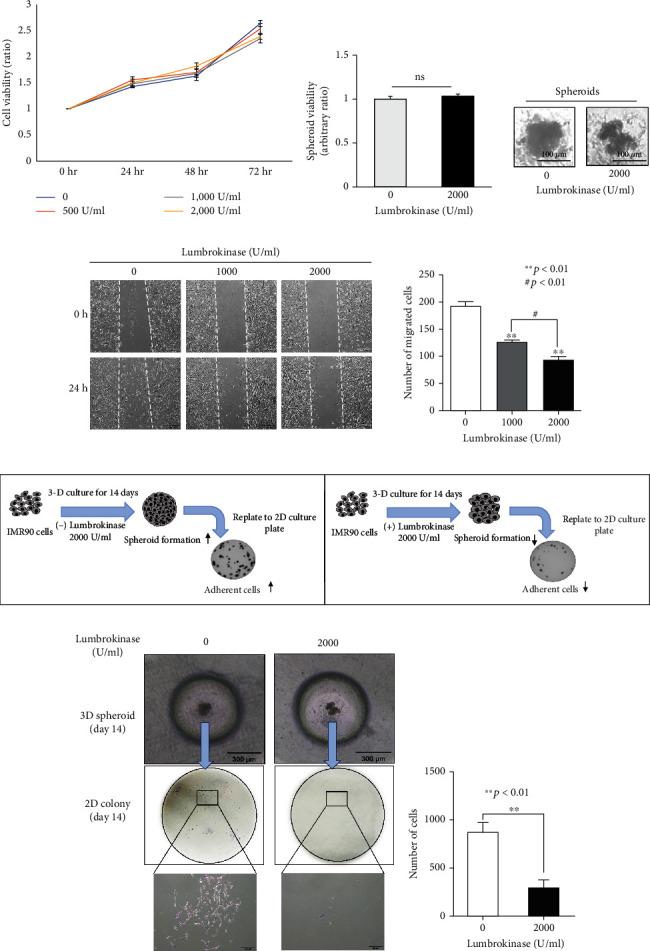 https://cdn.ncbi.nlm.nih.gov/pmc/blobs/2daa/9851794/69692acaed37/BMRI2023-4050730.003.jpg