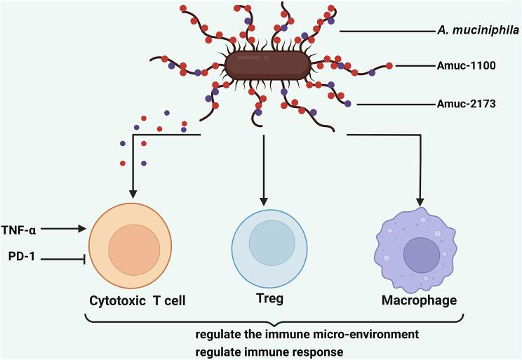https://cdn.ncbi.nlm.nih.gov/pmc/blobs/2dac/11297771/bccc1f408cd5/13099_2024_635_Fig4_HTML.jpg