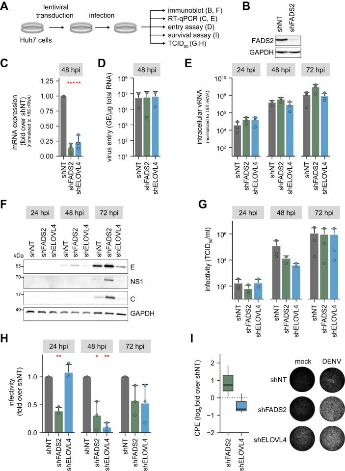 https://cdn.ncbi.nlm.nih.gov/pmc/blobs/2dad/11908578/e534a238064b/gr3.jpg