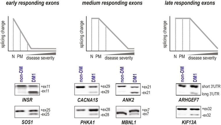 https://cdn.ncbi.nlm.nih.gov/pmc/blobs/2dae/5897446/8e4aae163397/41598_2018_24156_Fig1_HTML.jpg