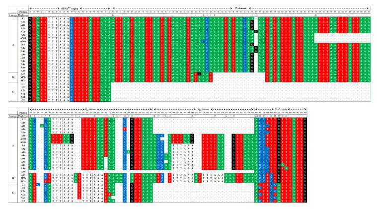 https://cdn.ncbi.nlm.nih.gov/pmc/blobs/2dae/8303314/d1fadebbe016/insects-12-00641-g002.jpg