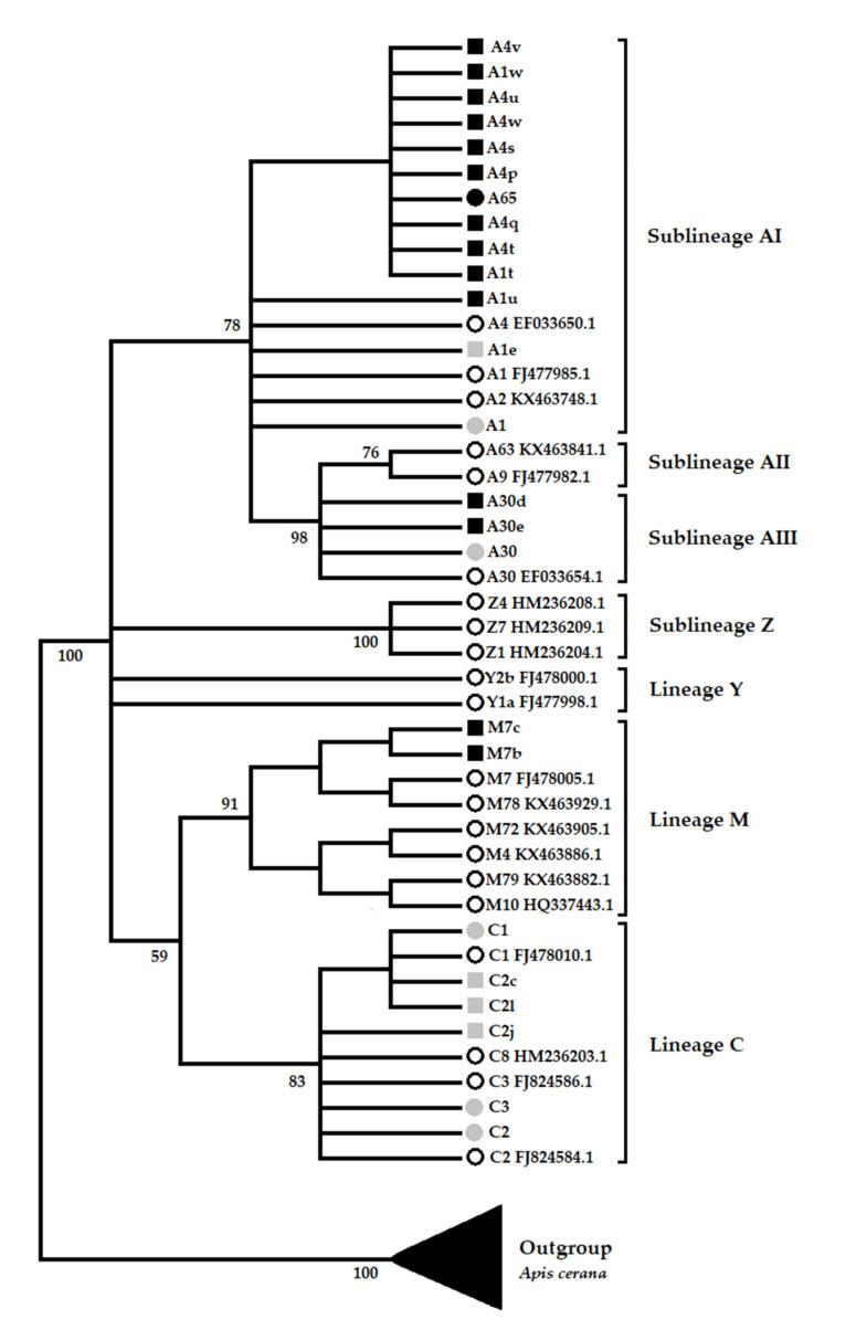 https://cdn.ncbi.nlm.nih.gov/pmc/blobs/2dae/8303314/da0f4a51fd68/insects-12-00641-g003.jpg