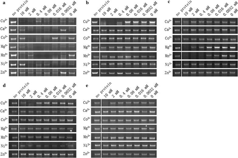 https://cdn.ncbi.nlm.nih.gov/pmc/blobs/2db1/6006590/1b304bd0d2f2/12936_2018_2388_Fig6_HTML.jpg