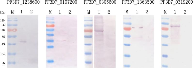 https://cdn.ncbi.nlm.nih.gov/pmc/blobs/2db1/6006590/adc1e6b27abe/12936_2018_2388_Fig3_HTML.jpg