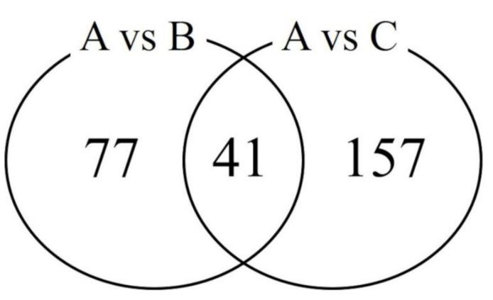 https://cdn.ncbi.nlm.nih.gov/pmc/blobs/2db1/8464878/263c92cac26f/animals-11-02596-g002.jpg