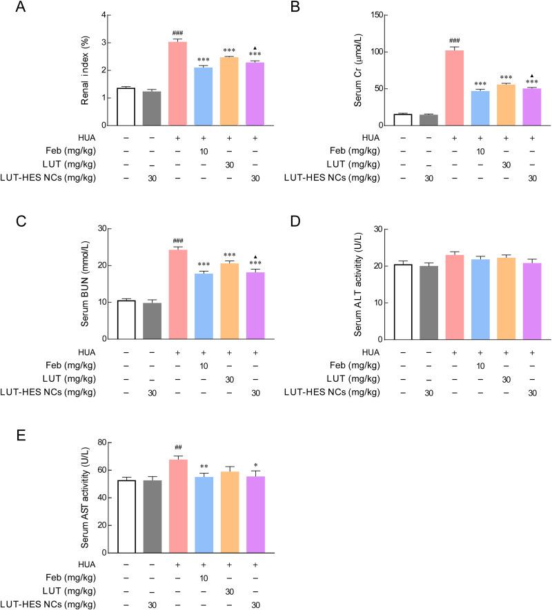 https://cdn.ncbi.nlm.nih.gov/pmc/blobs/2db2/11162967/058d2f69316f/IJN-19-5139-g0010.jpg