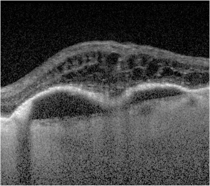 https://cdn.ncbi.nlm.nih.gov/pmc/blobs/2db4/7527713/9f41ee1a4206/mmcfigs1.jpg