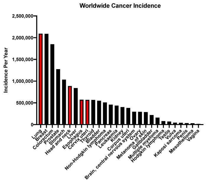 https://cdn.ncbi.nlm.nih.gov/pmc/blobs/2db5/7999493/9c4c003c1e44/ijms-22-02831-g001.jpg