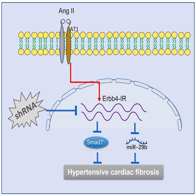 https://cdn.ncbi.nlm.nih.gov/pmc/blobs/2db9/10336735/8230d5cfc1dd/fx1.jpg