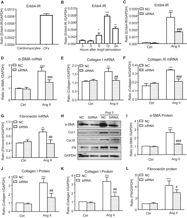 https://cdn.ncbi.nlm.nih.gov/pmc/blobs/2db9/10336735/a2d40a30e3f9/gr7.jpg