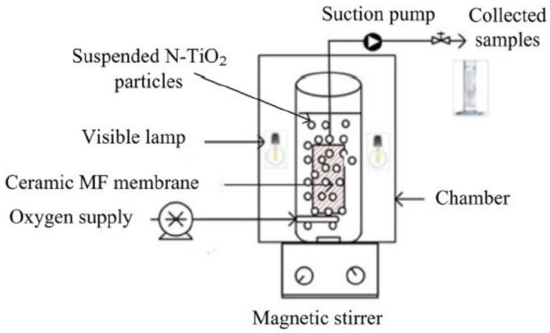 https://cdn.ncbi.nlm.nih.gov/pmc/blobs/2db9/9412706/3d9c2108daf4/membranes-12-00745-g001.jpg