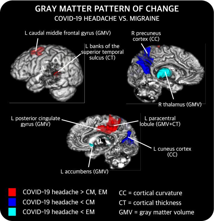 https://cdn.ncbi.nlm.nih.gov/pmc/blobs/2dba/9813253/a3832595159e/415_2022_11398_Fig3_HTML.jpg