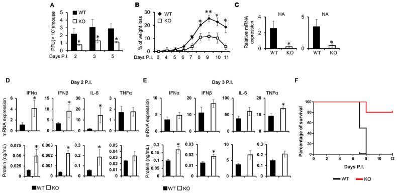 https://cdn.ncbi.nlm.nih.gov/pmc/blobs/2dc1/10923883/adbb5d22527b/41418_2024_1269_Fig2_HTML.jpg