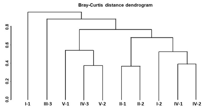 https://cdn.ncbi.nlm.nih.gov/pmc/blobs/2dc2/7603099/5877e2771e68/microorganisms-08-01604-g007.jpg