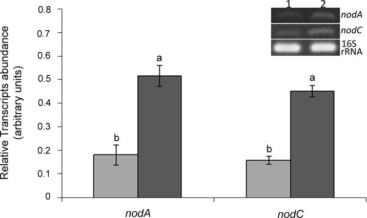 https://cdn.ncbi.nlm.nih.gov/pmc/blobs/2dc4/4741418/9d51442e0587/pone.0148221.g007.jpg