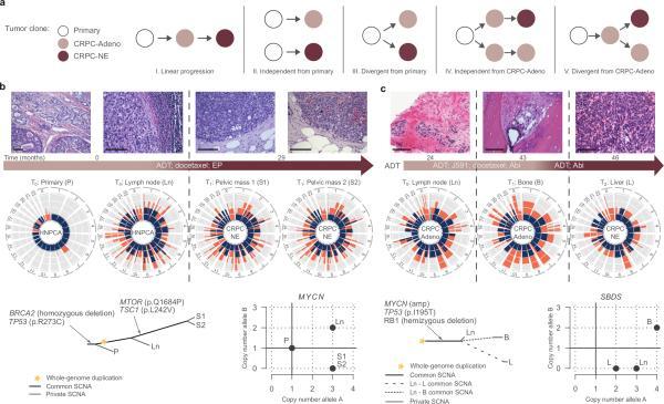 https://cdn.ncbi.nlm.nih.gov/pmc/blobs/2dc4/4777652/cdd4a676ba1b/nihms-751180-f0002.jpg
