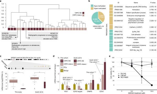 https://cdn.ncbi.nlm.nih.gov/pmc/blobs/2dc4/4777652/f43f6e5cfd8a/nihms-751180-f0003.jpg