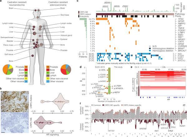 https://cdn.ncbi.nlm.nih.gov/pmc/blobs/2dc4/4777652/f745184ac61c/nihms-751180-f0001.jpg
