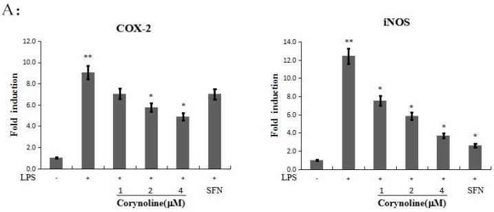 https://cdn.ncbi.nlm.nih.gov/pmc/blobs/2dc4/6273489/af97b109035b/molecules-21-00975-g006a.jpg