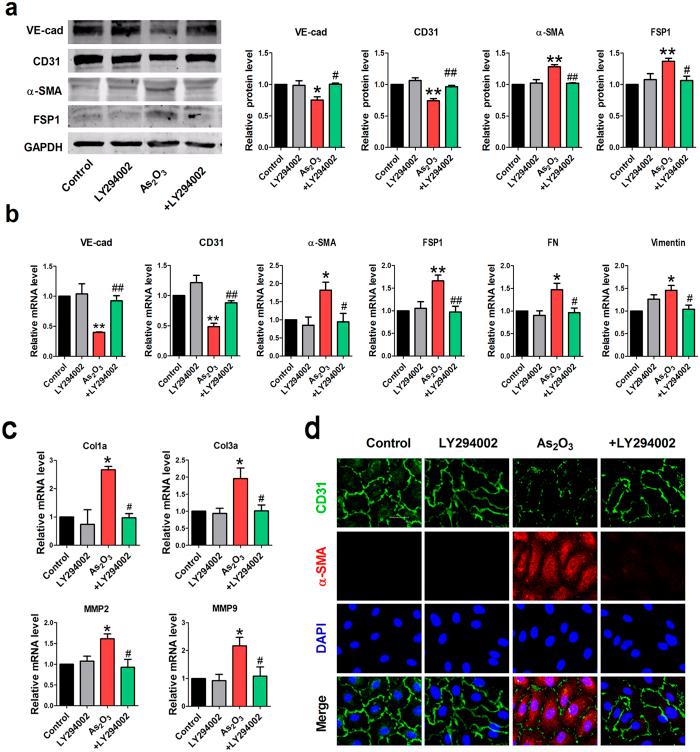 https://cdn.ncbi.nlm.nih.gov/pmc/blobs/2dc5/5037371/77045d67b0d4/srep33787-f7.jpg