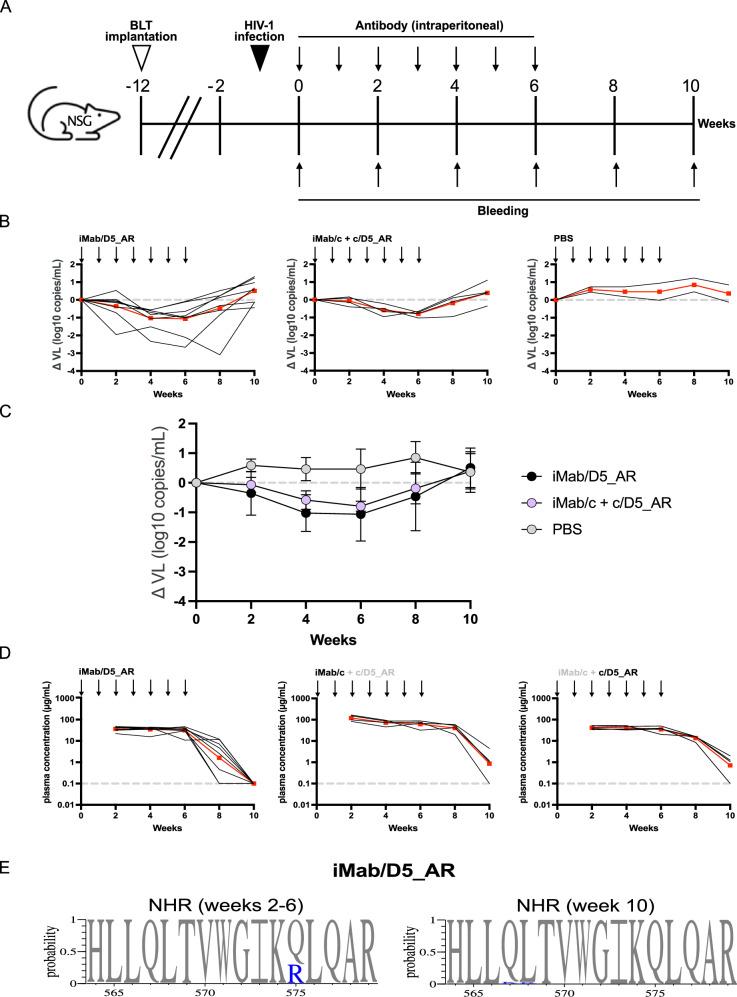 https://cdn.ncbi.nlm.nih.gov/pmc/blobs/2dc6/12086220/93f29bc7b154/41467_2025_60035_Fig6_HTML.jpg