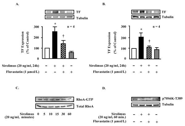 https://cdn.ncbi.nlm.nih.gov/pmc/blobs/2dc8/1190166/e4798a6d1c0a/1471-2261-5-22-2.jpg