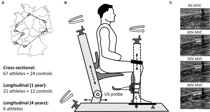https://cdn.ncbi.nlm.nih.gov/pmc/blobs/2dc8/7772406/c63e9fdda671/fphys-11-607544-g0001.jpg