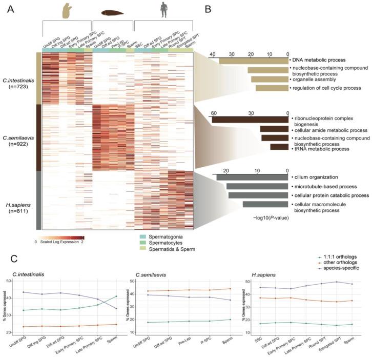 https://cdn.ncbi.nlm.nih.gov/pmc/blobs/2dcb/9776925/3297d03a0215/cells-11-03978-g005.jpg