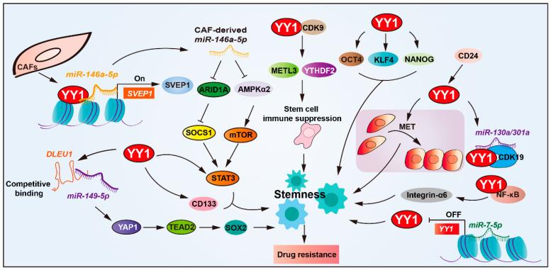 https://cdn.ncbi.nlm.nih.gov/pmc/blobs/2dcc/12383853/c369b64aeab1/biomolecules-15-01069-g003.jpg
