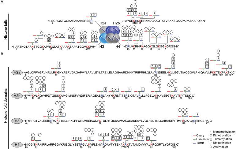 https://cdn.ncbi.nlm.nih.gov/pmc/blobs/2dcc/8193266/1b68c4803f18/ijbsv17p2009g003.jpg