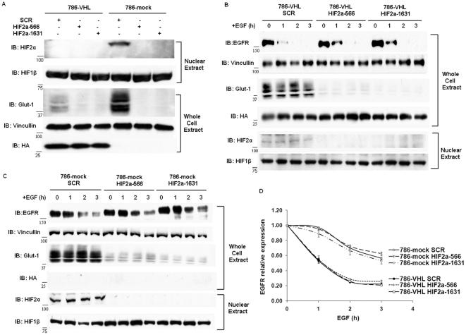 https://cdn.ncbi.nlm.nih.gov/pmc/blobs/2dcf/3174936/9f1c22a3c566/pone.0023936.g002.jpg