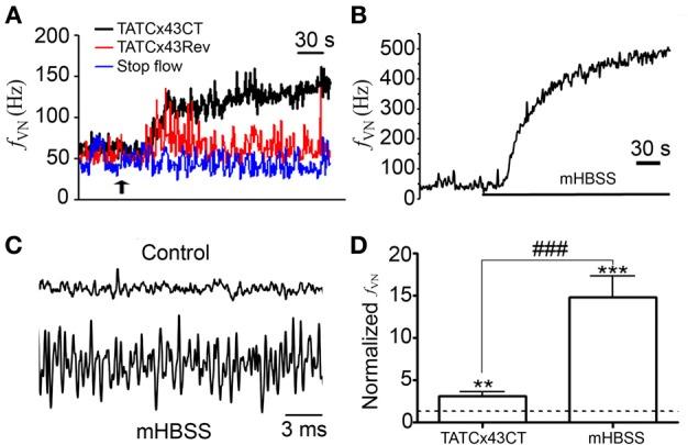 https://cdn.ncbi.nlm.nih.gov/pmc/blobs/2dd0/4064533/14df68d14cce/fncel-08-00158-g0003.jpg