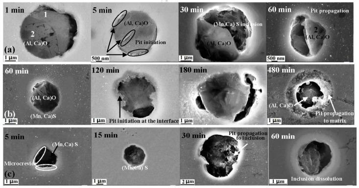 https://cdn.ncbi.nlm.nih.gov/pmc/blobs/2dd0/5615730/dd6362714315/materials-10-01076-g007.jpg