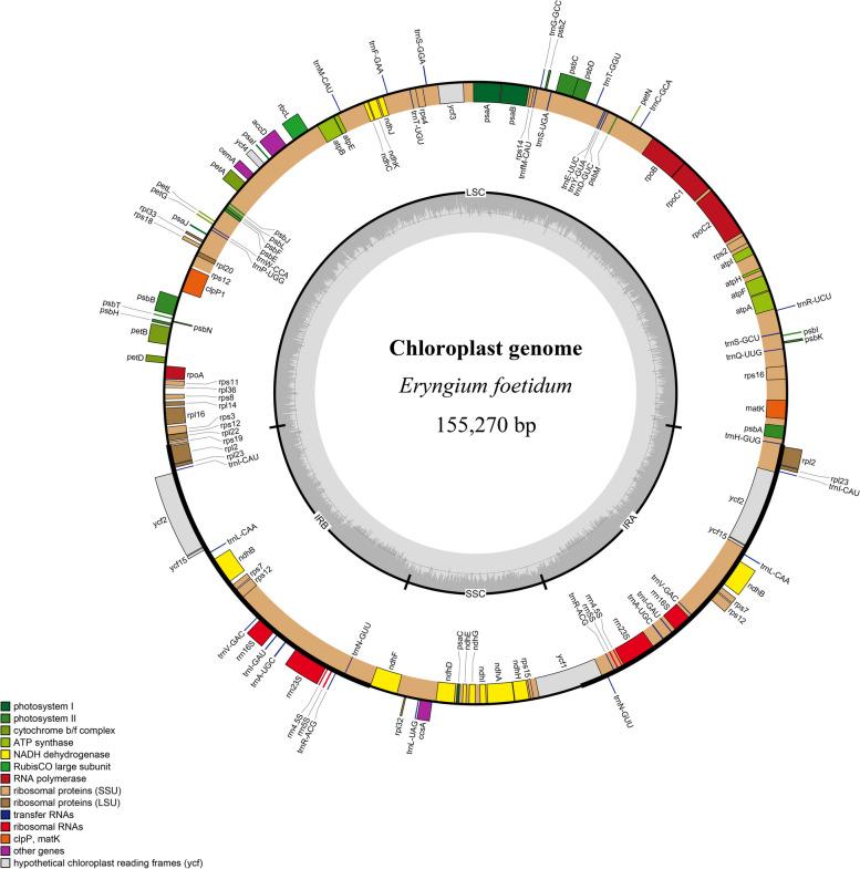 https://cdn.ncbi.nlm.nih.gov/pmc/blobs/2dd1/10512634/4b3b40e171e7/12870_2023_4447_Fig2_HTML.jpg