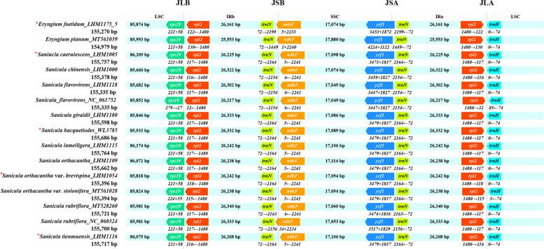 https://cdn.ncbi.nlm.nih.gov/pmc/blobs/2dd1/10512634/587272b3b20d/12870_2023_4447_Fig3_HTML.jpg