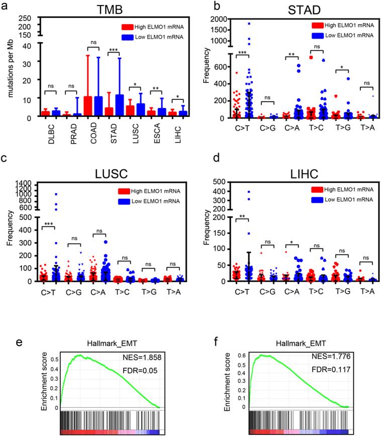https://cdn.ncbi.nlm.nih.gov/pmc/blobs/2dd1/6710851/73d2a575fb9a/gr2.jpg