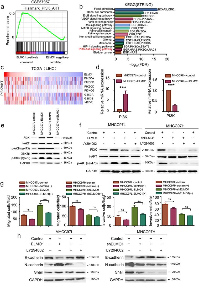 https://cdn.ncbi.nlm.nih.gov/pmc/blobs/2dd1/6710851/9b6d59aab88e/gr4.jpg