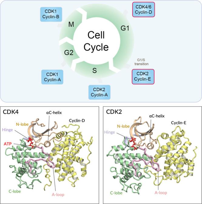 https://cdn.ncbi.nlm.nih.gov/pmc/blobs/2dd2/11134382/a14f2cb8684a/au4c00138_0001.jpg