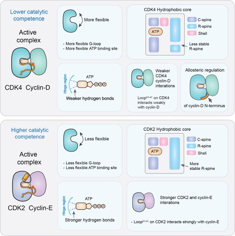 https://cdn.ncbi.nlm.nih.gov/pmc/blobs/2dd2/11134382/cfd177bbe0ca/au4c00138_0007.jpg