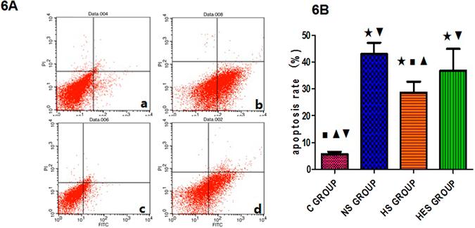https://cdn.ncbi.nlm.nih.gov/pmc/blobs/2dd4/5517425/369f87c3530f/41598_2017_5919_Fig6_HTML.jpg