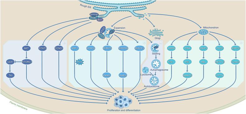 https://cdn.ncbi.nlm.nih.gov/pmc/blobs/2dd9/10329683/e085bfbf095c/41419_2023_5929_Fig1_HTML.jpg