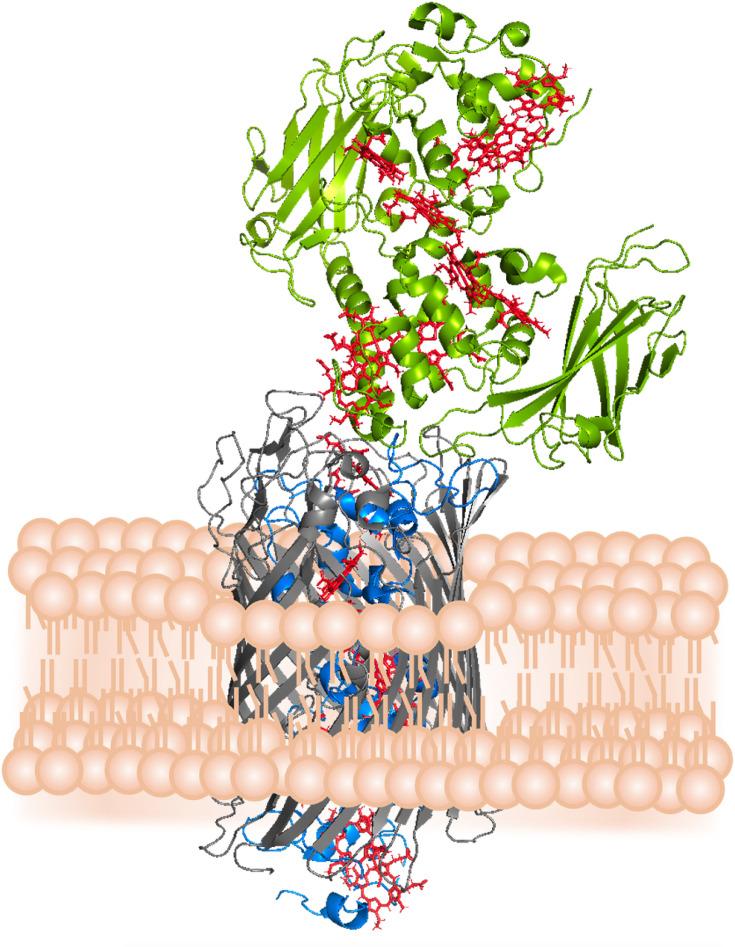 https://cdn.ncbi.nlm.nih.gov/pmc/blobs/2dd9/12203936/0bd73b3a9c24/BSR-45-01-BSR20240576-g005.jpg