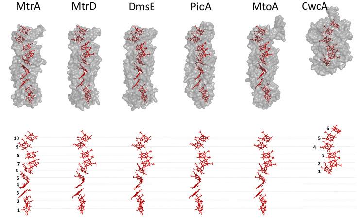 https://cdn.ncbi.nlm.nih.gov/pmc/blobs/2dd9/12203936/5f8388adbbfd/BSR-45-01-BSR20240576-g006.jpg