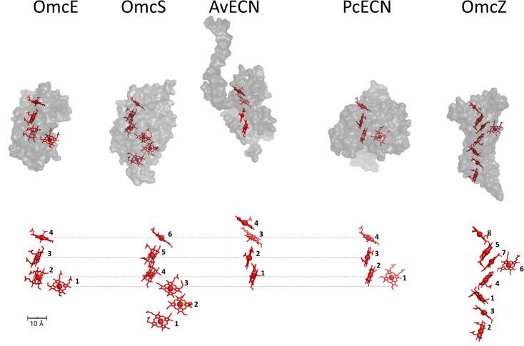 https://cdn.ncbi.nlm.nih.gov/pmc/blobs/2dd9/12203936/d42a6f73f7ef/BSR-45-01-BSR20240576-g007.jpg