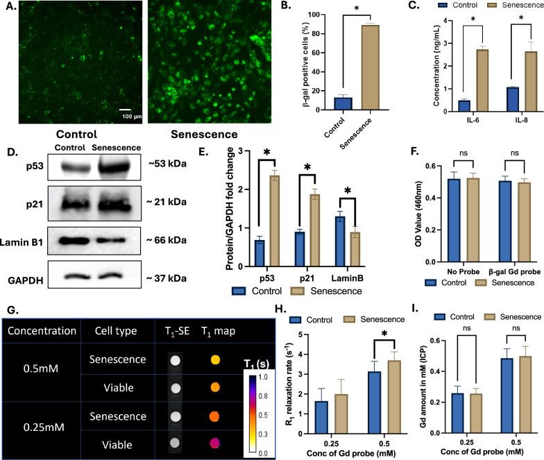 https://cdn.ncbi.nlm.nih.gov/pmc/blobs/2dda/12118744/d648e34b9d25/44303_2025_78_Fig2_HTML.jpg