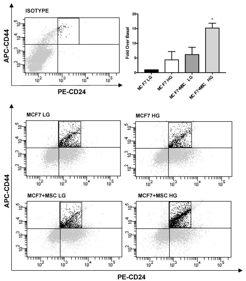 https://cdn.ncbi.nlm.nih.gov/pmc/blobs/2ddb/9655059/24f2aaa24a3e/cancers-14-05421-g005.jpg